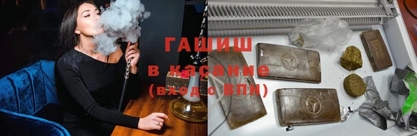 стафф Арсеньев