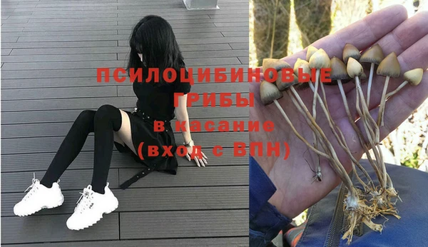 стафф Арсеньев