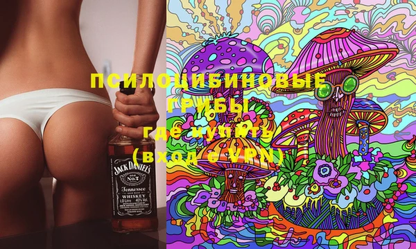 дживик Армянск