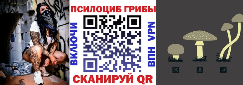 Псилоцибиновые грибы MAGIC MUSHROOMS  Чудово 